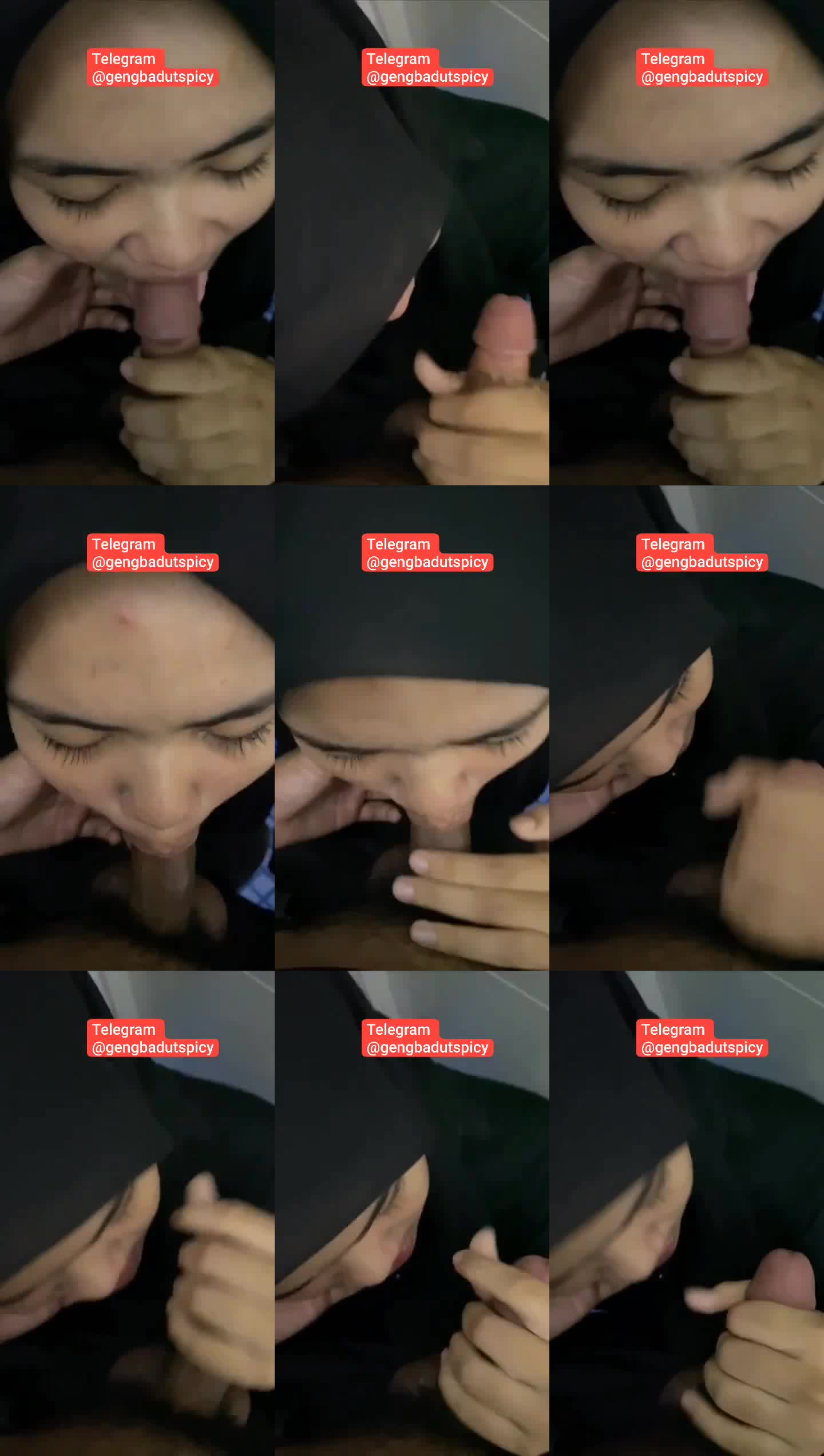 fb echa terabox (1)(1)
