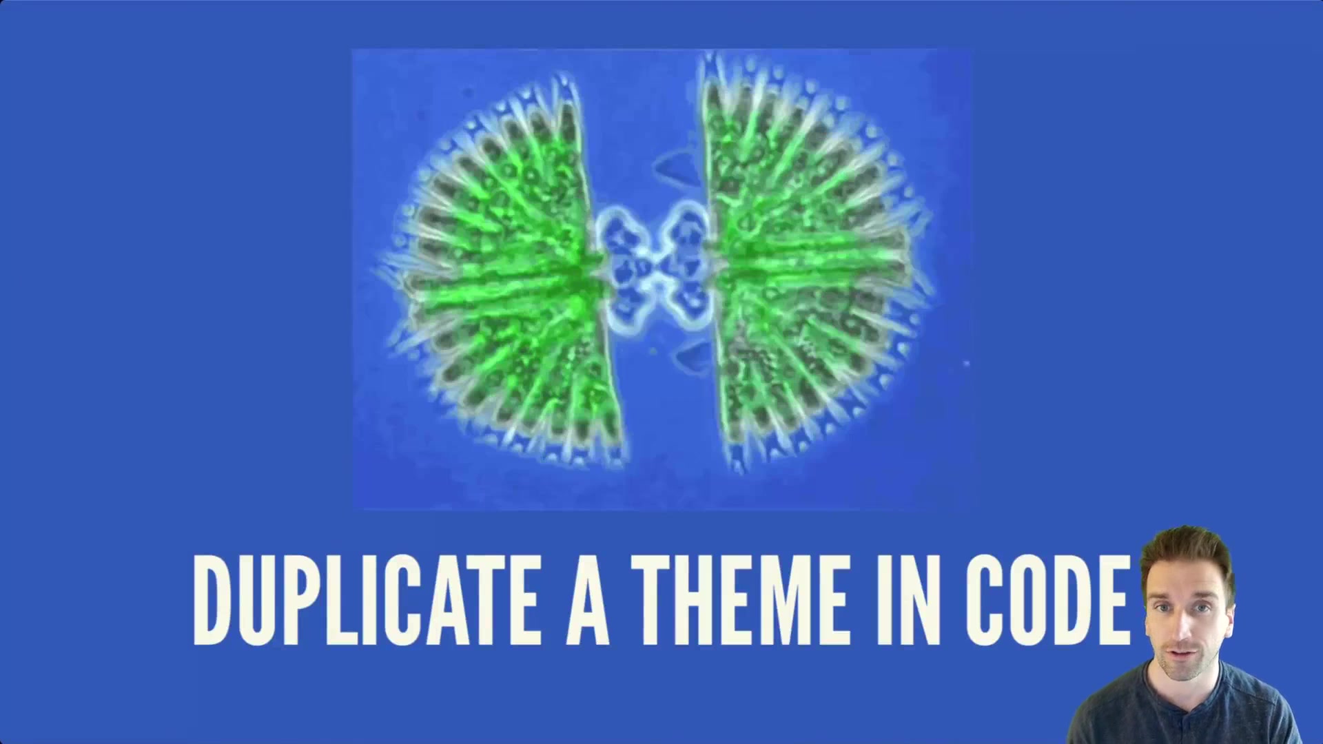 176.-5.-Add-An-Additional-Theme-in-Code.mp4